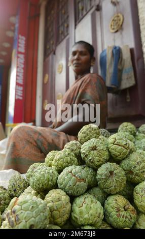 Vanillesäfte, die in der Altstadt von Madurai, Tamil Nadu, Indien verkauft werden. Stockfoto