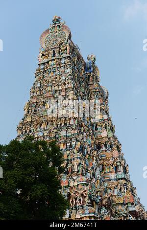 Die farbenfrohen Gopuramen des Meenakshi Amman Tempels in Madurai, Tamil Nadu, Indien. Stockfoto