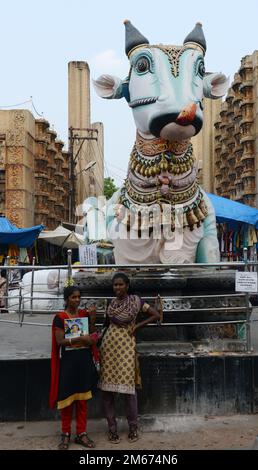 Nandi (Shivas Stier)-Statue in einem Kreisverkehr in der Altstadt von Madurai, Tamil Nadu, Indien. Stockfoto