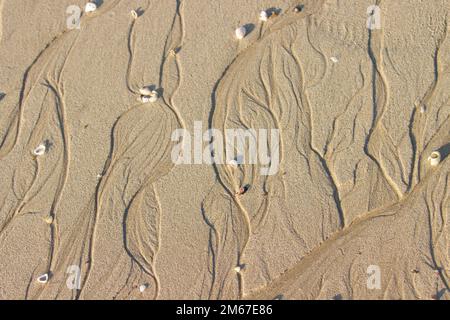 Hintergrundstruktur für nassen Sand. Stockfoto