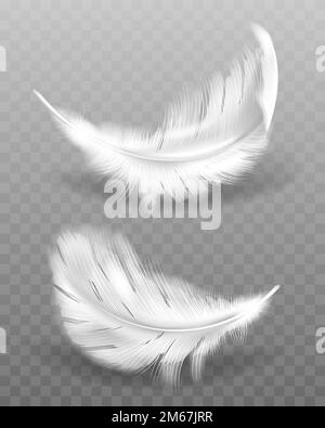 Weiße flauschige Feder mit Schattenvektor realistisches Set isoliert auf transparentem Hintergrund. Federn aus Flügeln von Vögeln oder Engeln, Symbol für Weichheit und Reinheit, Designelement Stock Vektor
