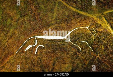 Uffington White Horse. 3500 Jahre alte prähistorische Kreidefigur, die in einen Kreidehügel der Berkshire Downs, England, gehauen wurde. 110 Meter lang Stockfoto