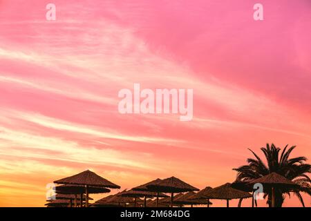 Tropische Strandlandschaft mit Sonnenschirmen und Palmen. Strohsonnenschirme am Strand bei Sonnenuntergang. Verlaufsfarbe Stockfoto