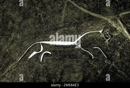 Uffington White Horse. 3500 Jahre alte prähistorische Kreidefigur, die in einen Kreidehügel der Berkshire Downs, England, gehauen wurde. 110 Meter lang Stockfoto