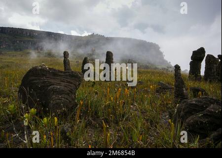 Sandsteinfelsen mit schwarzen Säulen und Säulen in Wolken auf Amuri Tepui, Venezuela Stockfoto