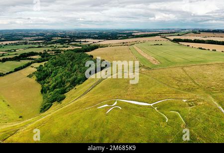 Uffington White Horse. 3500 Jahre alte prähistorische Kreidefigur, die in einen Kreidehügel der Berkshire Downs, England, gehauen wurde. 110 Meter lang. Nach Osten Stockfoto