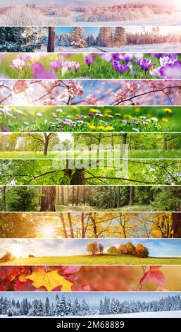 Collage der Panoramafotos der zwölf Monate des Jahres. Stockfoto