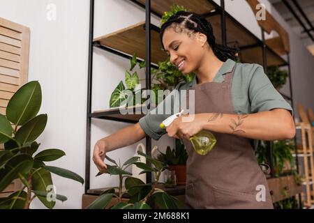 Fröhlicher und stilvoller afroamerikanischer Florist in Schürze erfrischende Blätter von Pflanzen mit Wasser im Blumenladen, Stockbild Stockfoto