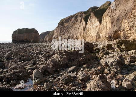 Magnesiumkalksteinstrand und Klippen am Hawthorn Hive, mit Blick nach Süden entlang der Durham Küste Stockfoto