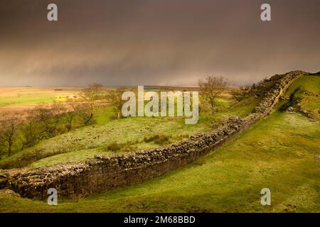 Der Fußweg entlang der Hadrian's Wall in Northumberland ist einer der dramatischsten Langstreckenpfade Großbritanniens Stockfoto