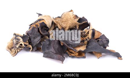Trockener schwarzer Pilz, isoliert auf weißem Hintergrund. Chinesischer schwarzer Pilz oder Baum schwarzer Muer Pilz. Auricularia polytricha Stockfoto