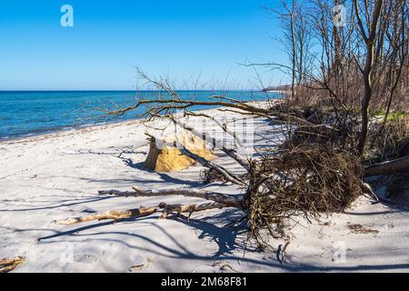 Strand An Der Ostseeküste Auf Der Insel Poel. Stockfoto