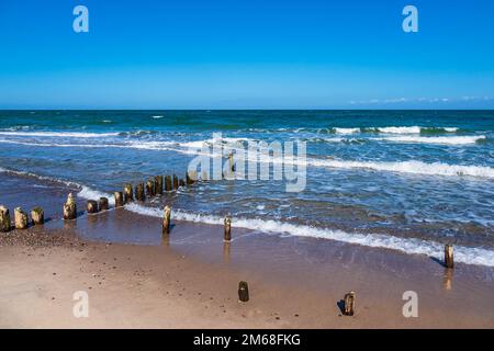 Groynes An Der Ostseeküste Bei Kühlungsborn. Stockfoto