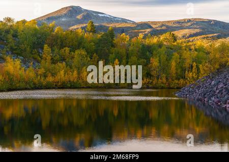 Herbstsaison im Stora sjöfallet-Nationalpark mit bunten Blättern und schönem sonnigen Wetter, Stora sjöfallet-Nationalpark, schwedisches Lappland, Schweden Stockfoto