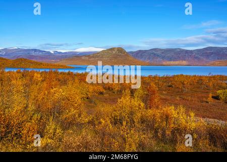 Herbstsaison im Kiruna County mit Blick auf den See Torneträsl, schwedisches Lappland, Schweden Stockfoto