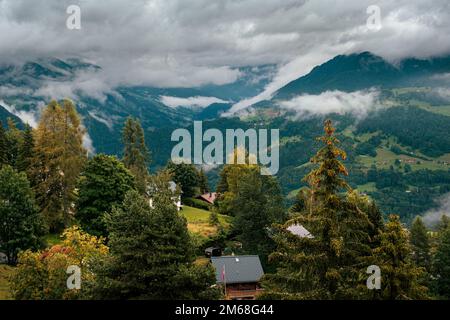 Dramatische Aussicht auf das Rhone-Tal vom schweizer Bergdorf Leysin an bewölkten Tagen im Sommer, hohe Bäume im Vordergrund Stockfoto