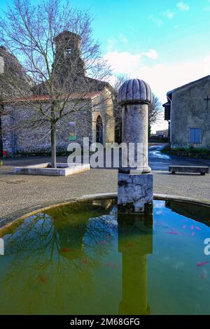 Brunnen mit Goldfischen im kleinen Dorf und Schloss in Roqefixade, Ariege, französische Pyrenäen, Frankreich Stockfoto