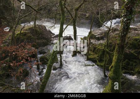 Der Fluss Brathay fällt über den Skelwith Force Wasserfall im Lake District Stockfoto