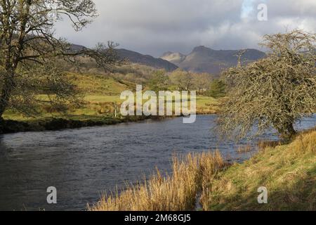 Am Ufer des Flusses Brathay, der sich dem Elter Water im Lake District nähert. Mit den Langdale Hills im Hintergrund Stockfoto