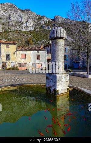 Brunnen mit Goldfischen im kleinen Dorf und Schloss in Roqefixade, Ariege, französische Pyrenäen, Frankreich Stockfoto