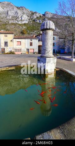 Brunnen mit Goldfischen im kleinen Dorf und Schloss in Roqefixade, Ariege, französische Pyrenäen, Frankreich Stockfoto