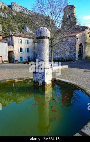 Brunnen mit Goldfischen im kleinen Dorf und Schloss in Roqefixade, Ariege, französische Pyrenäen, Frankreich Stockfoto