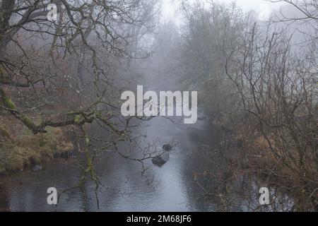 Am frühen Morgen neblig auf dem Fluss Brathey, in Little Langdale, dem Lake District Stockfoto