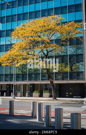 1. Avenue, Midtown Manhattan, New York City, USA Stockfoto