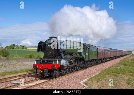 Fliegender Schotte auf der Borders Railway Line in der Nähe von Edinburgh. Farbe Stockfoto