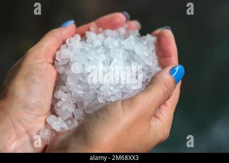 Die Kristalle aus gefrierendem Hageleis, Körner in den Händen nach starkem Hagelsturm im Herbst, Herbst. Der erste Schnee im frühen Winter. Kaltes Wetter Stockfoto