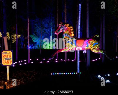 Weihnachten bei Dunham Massey. Eine der besten Lichtshow-Veranstaltungen in Altrincham, Cheshire im Nordwesten Englands. Familienspaß Stockfoto