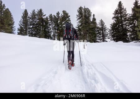 Wandern in Bergen mit Schnee. Ein Mann, der im Schnee mit Wanderstöcken in den Wäldern in den Bergen der Alpen spaziert. Stockfoto