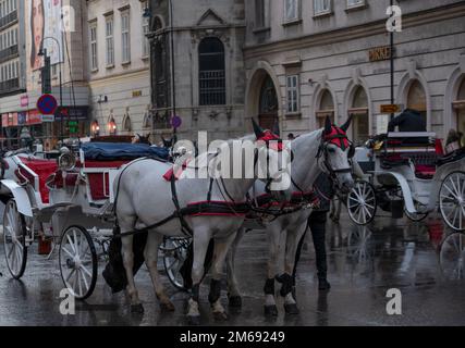 Blick auf die Pferdekutschen - Fiaker führt Touristen durch die Hauptstraßen von Wien, Österreich. Stockfoto