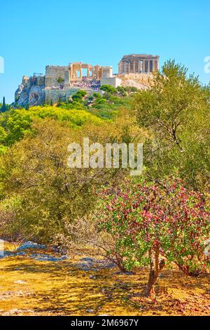 Stadtpark auf dem Hügel der Nymphen in Athen und Akropolis im Hintergrund, Griechenland Stockfoto