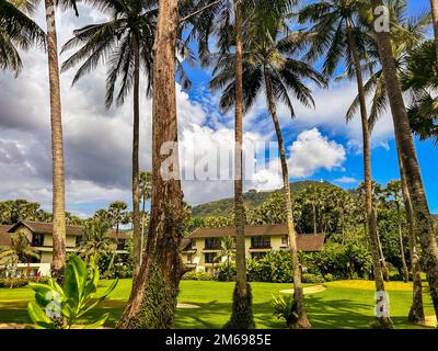 Kata Yai Beach, Phuket, Thailand, Strandszenen, Exotische Palmen, Gärten, Club Med, Luxury Resort, Bäume hintereinander Stockfoto