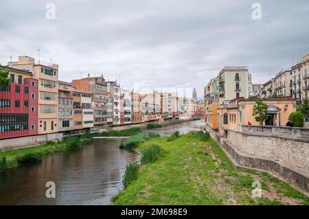 Die Häuser am Fluss Onyar mit Kathedrale im Hintergrund, Girona, Katalonien, Spanien Stockfoto