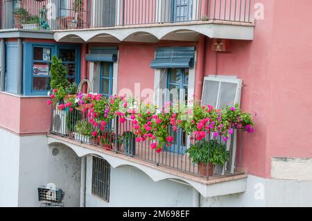 Balkon mit Blumen, die Häuser am Fluss Onyar, Girona, Katalonien, Spanien Stockfoto
