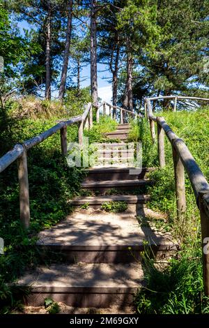 Wandertreppe im Wald mit blauem Himmel, der durch Bäume scheint Stockfoto