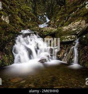 Fällt auf Nant Dolfolau Stockfoto