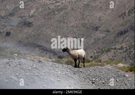 Embase el Yeso, Cajon del Maipo, Chile Stockfoto