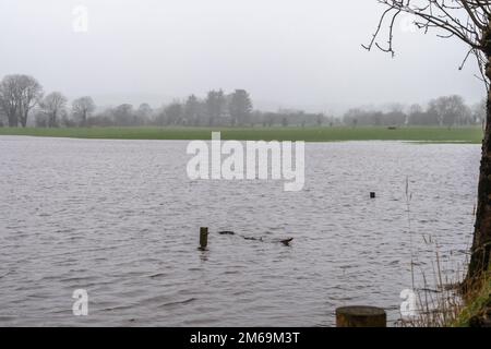 Clonakilty, West Cork, Irland. 3. Januar 2023. Nach Tagen relativ trockenen Wetters fiel heute sintflutartiger Regen auf West Cork und verursachte Flutkatastrophen. Der Fluss Ilen brach seine Ufer in der Nähe von Caheragh aus, was zu einer Überschwemmung der Bauernfelder führte. Kredit: AG News/Alamy Live News Stockfoto