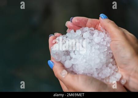 Die Kristalle aus gefrierendem Hageleis, Körner in den Händen nach starkem Hagelsturm im Herbst, Herbst. Der erste Schnee im frühen Winter. Kaltes Wetter Stockfoto