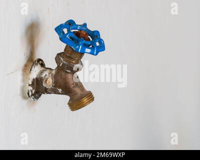 Wasserhahn im Freien zur Bewässerung von Garten und Rasen. Klassischer Wasserhahn aus Messing mit blauem Griff. Stockfoto