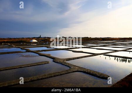 Salzgaerten, Batz-sur-Mer, Loire-Atlantique, Frankreich Stockfoto