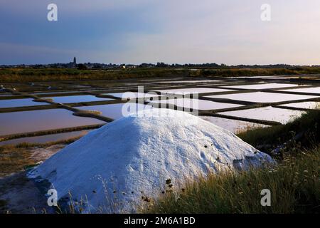 Salzgaerten, Batz-sur-Mer, Loire-Atlantique, Frankreich Stockfoto