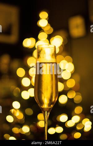Foto eines mit Champagner gefüllten Sektglases vor einem Weihnachtsbaum, mit selektivem Fokus, damit der Baum nicht im Fokus ist mit Bokeh wo Stockfoto