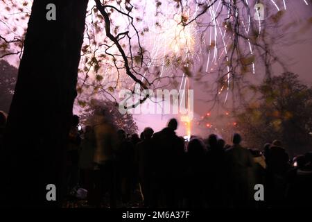 Feuerwerk im Alexandra Palace am 5. 2022. November im Norden Londons, Großbritannien Stockfoto