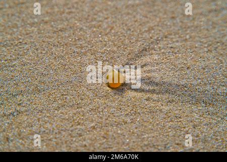 Gelber bernsteinfarbener Nugget auf Sand auf natürlichem Hintergrund mit Kieselsteinen. Amber wurde im Herbst am Ostseestrand gefunden. Den goldenen Schatz finden. Stockfoto