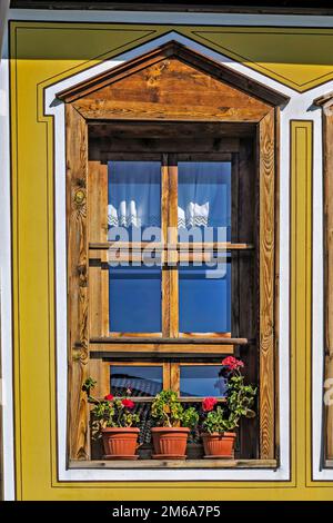 Blumen in Töpfen am Fenster;Koprivshtitsa Bulgaria Europe Stockfoto