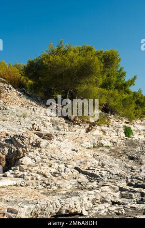 Felsige Scrubby-Landschaft von der Insel Vis (kroatien) Stockfoto